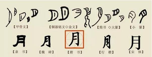 文字的演變過程、來歷起源，5本書探秘文字背后的秘密