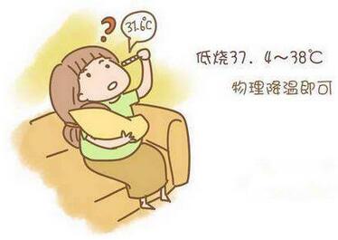 寶寶低燒是多少度