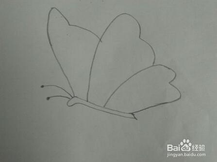 幼兒園簡(jiǎn)單蝴蝶簡(jiǎn)筆畫(huà)教程圖片