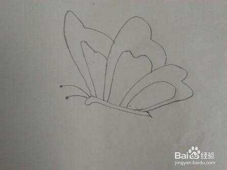 幼兒園簡(jiǎn)單蝴蝶簡(jiǎn)筆畫(huà)教程圖片