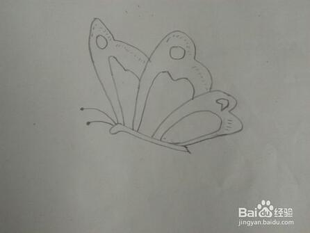 幼兒園簡(jiǎn)單蝴蝶簡(jiǎn)筆畫(huà)教程圖片