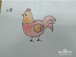 大公雞的簡(jiǎn)筆畫(huà)步驟圖片