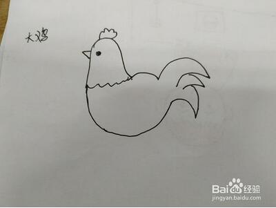 大公雞的簡筆畫步驟圖片