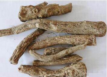 青木香為什么被禁用