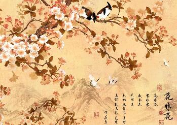 白居易花非花翻譯