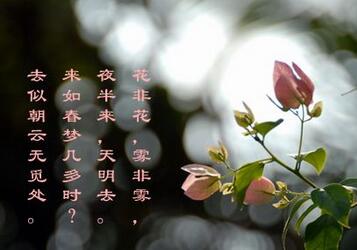 白居易花非花賞析