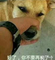 書單+攻略：如何讓爸爸參與到親子閱讀中來？