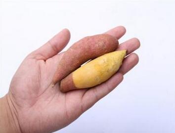 紅薯煮多久會(huì)熟