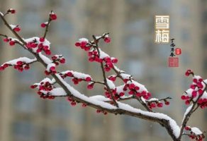 盧梅坡雪梅古詩帶拼音版