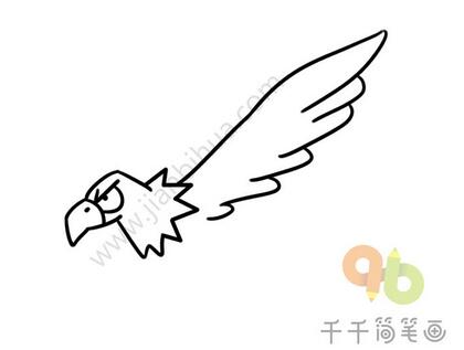 老鷹簡筆畫教程圖片