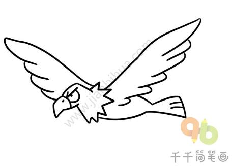 老鷹簡筆畫教程圖片