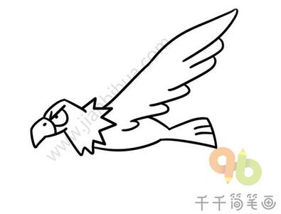 老鷹簡筆畫教程圖片