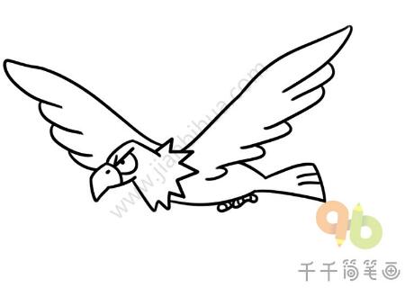 老鷹簡筆畫教程圖片