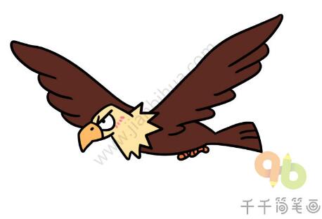 老鷹簡筆畫教程圖片