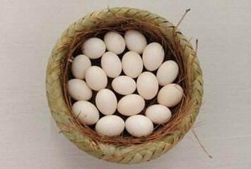孕婦吃鴿子蛋的注意事項