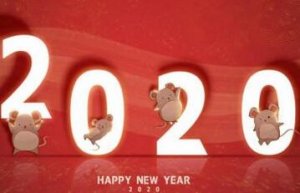 2020小學(xué)生新年計(jì)劃怎么寫(xiě)