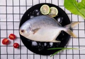 孕婦可以吃金鯧魚嗎