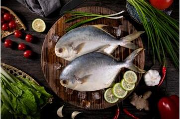 金鯧魚和白鯧魚的區(qū)別