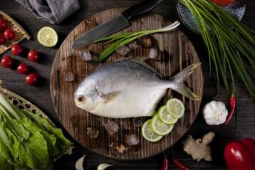 金鯧魚和白鯧魚的區(qū)別
