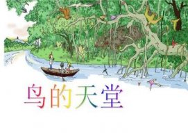 鳥的天堂