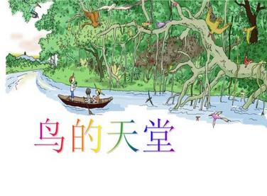 鳥的天堂