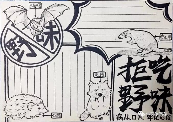 白衣天使手抄報模版圖片大全 向白衣天使致敬