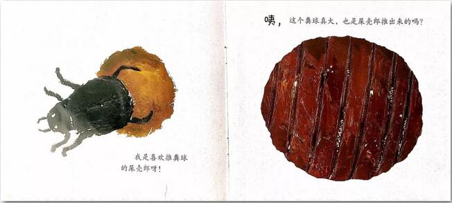 猜猜我是誰(shuí)