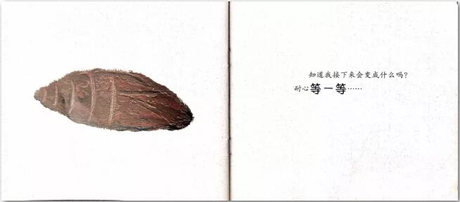 猜猜我是誰(shuí)