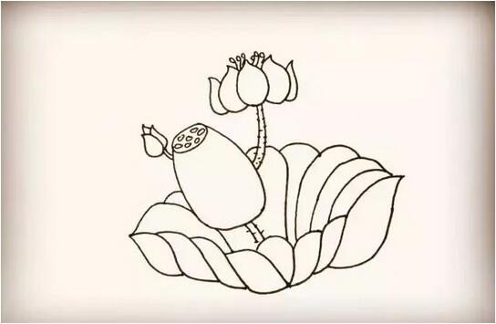 荷花簡筆畫圖片大全
