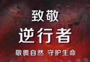 贊美疫情中最美逆行者作文