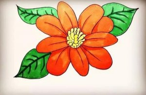 大紅花朵簡筆畫教程圖片