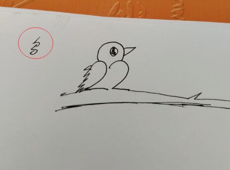 怎么畫小鳥?簡單小鳥簡筆畫怎么快速畫