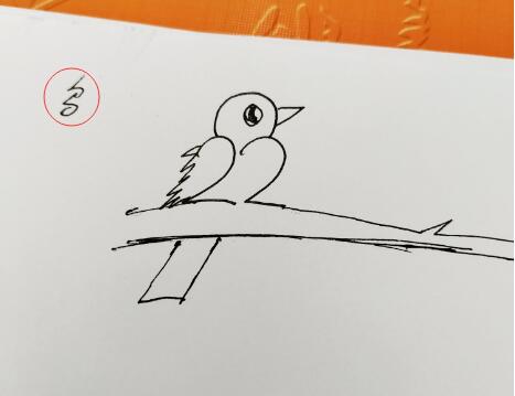 怎么畫小鳥?簡單小鳥簡筆畫怎么快速畫