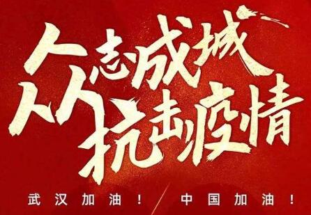 2020不一樣的春節(jié)作文