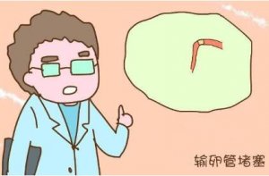 輸卵管通水是什么意思
