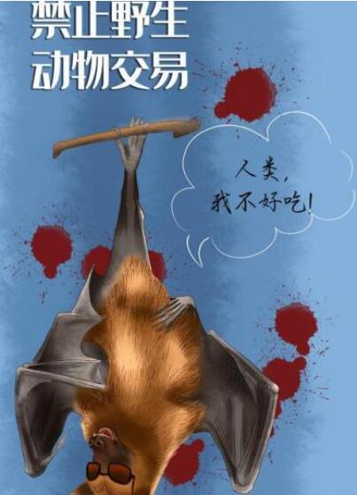 珍愛生命拒絕野味作文