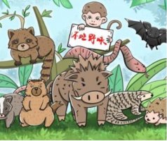 敬畏自然拒絕野味作文800字