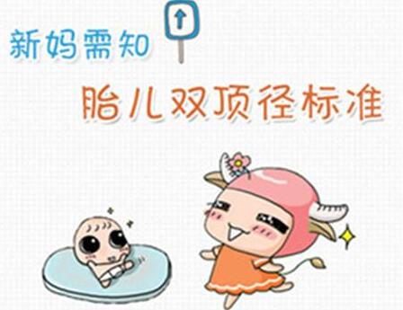 股骨長(zhǎng)是什么意思