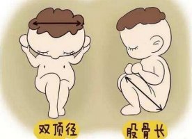 股骨長(zhǎng)是什么意思