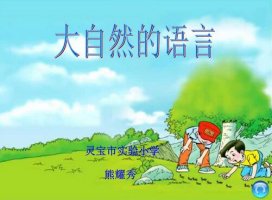 大自然的語言教案