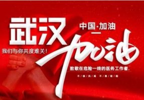 抗擊疫情的日子_防控疫情感想作文500字
