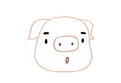 小豬簡筆畫教程圖片