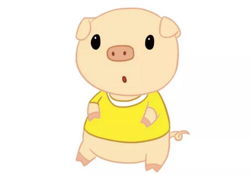 小豬簡筆畫教程圖片