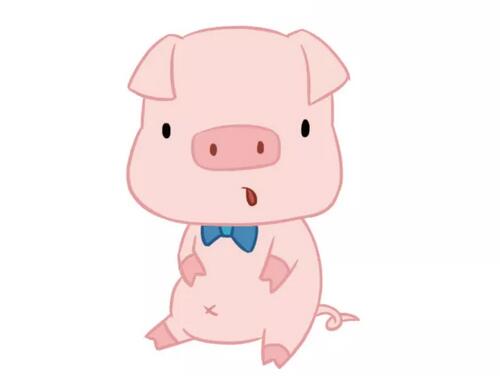 小豬簡筆畫教程圖片