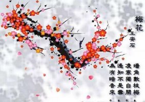 王安石梅花古詩帶拼音版