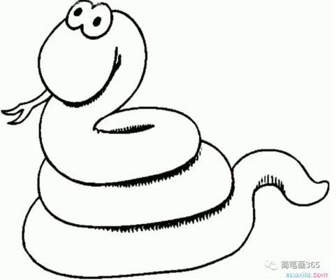 動物簡筆畫大全