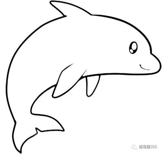 動物簡筆畫大全