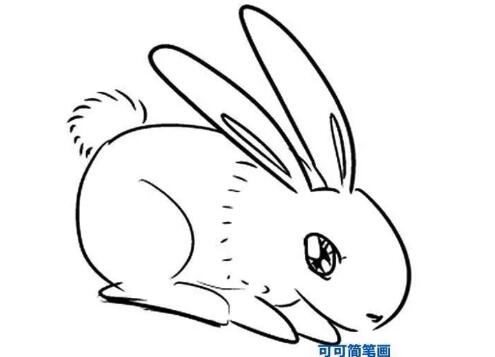 動物簡筆畫大全