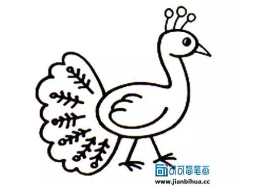 動物簡筆畫大全