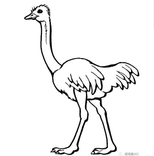 動物簡筆畫大全